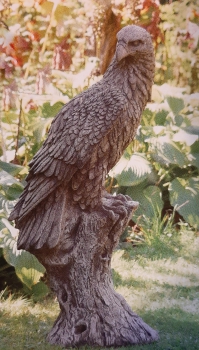 Großer Adler Eagle